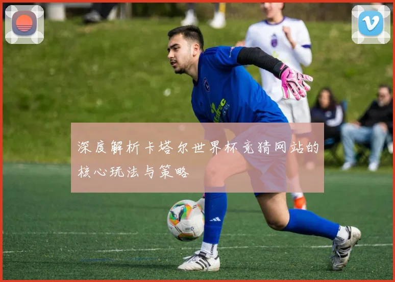 深度解析卡塔尔世界杯竞猜网站的核心玩法与策略