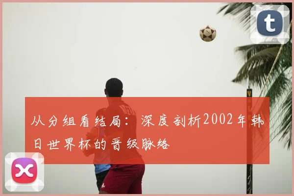 从分组看结局：深度剖析2002年韩日世界杯的晋级脉络