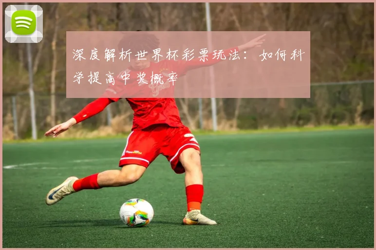 深度解析世界杯彩票玩法:如何科学提高中奖概率