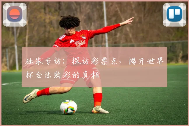 独家专访：探访彩票点，揭开世界杯合法购彩的真相