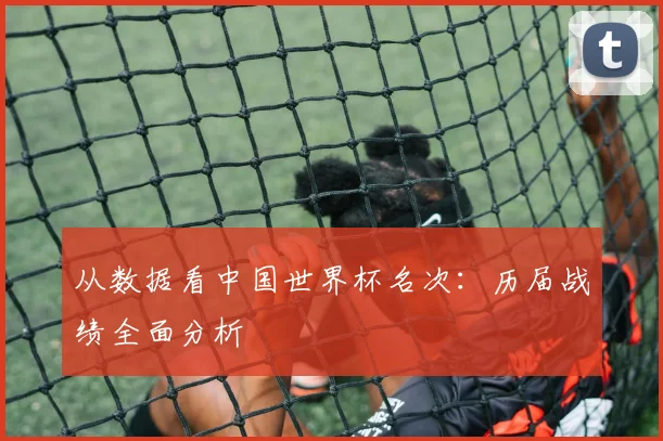 从数据看中国世界杯名次：历届战绩全面分析