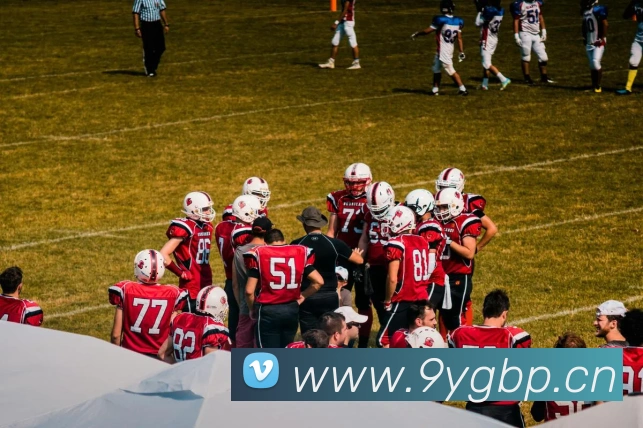 九游官方正版入口平台生态图